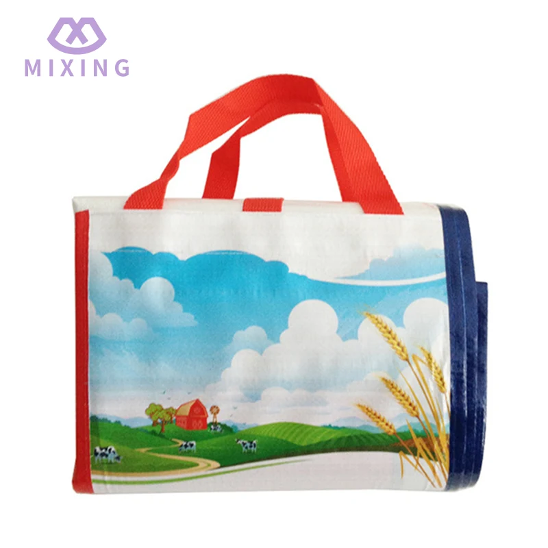PP Woven Bag